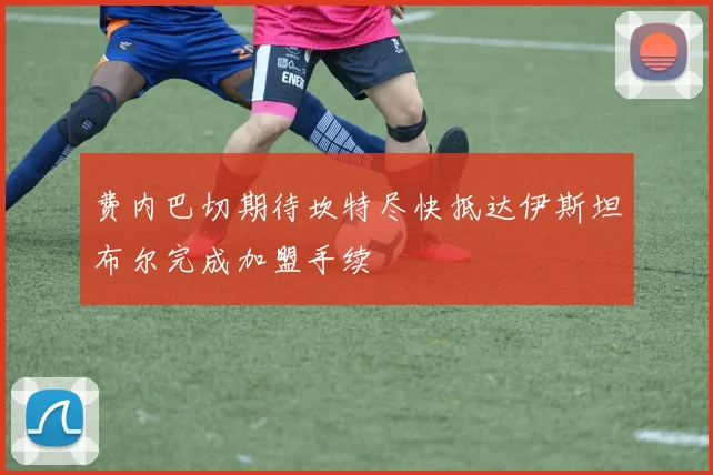 费内巴切期待坎特尽快抵达伊斯坦布尔完成加盟手续